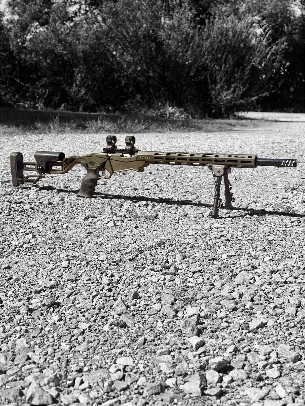 Bolt Guns